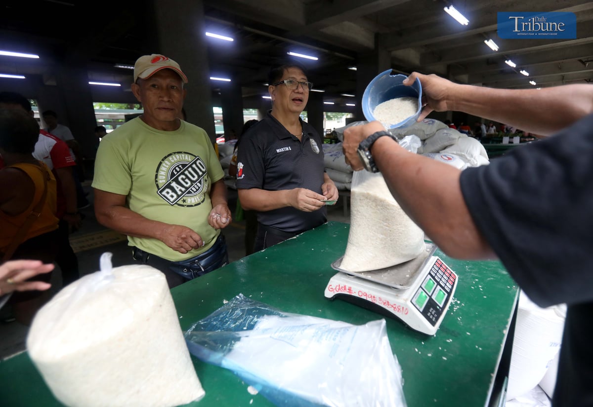 ANALY LABOR